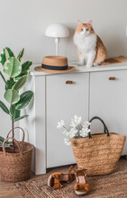 The Interior Of The Hallway Is A White Wooden Chest Of Drawers With A Straw Basket, Hat, Suede Sandals And Red Cat. Scandinavian Style