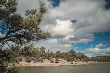 Sticker - Calm lake surrounded by the green trees of the dense forest under the sunny blue sky