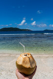 Fototapeta  - man hand holding coconut, ready to drink by the seaside