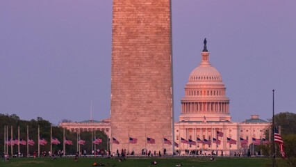 Sticker - Washington DC timelapse