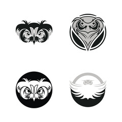 Wall Mural - Owl logo icon design animal and simple business