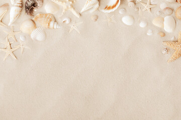 Sandy beach with collections of white and beige seashells and starfish as natural textured background for summer travel design
