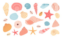 Set Of Seashells And Starfish On White Background. Hand Drawn Colorful Vector Illustration. Flat Cartoon Style. Summer Vacation Collection, Tropical Beach Shells.