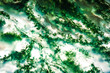 green Moss agate inclusion. macro detail texture background. close-up polished semi-precious gemstone.