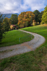 Wall Mural - Il Parco della Burcina in Autunno a Biella in Piemonte