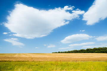 Poster - Gorgeous blue sky with white fluffy clouds in sunny day.