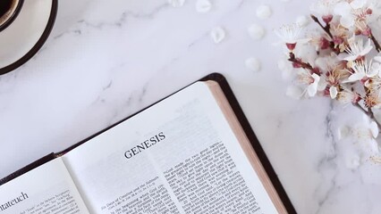 Wall Mural - Female hand flipping pages of Genesis open holy bible book placed on white marble table with spring branch with white flowers and a cup of coffee. Studying and reading Old Testament Scriptures.