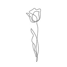 Vector Tulip Flower Icon Contour Silhouette Isolated. One Line Continuous Drawing. Linear Illustration. Floral Design, Print, Beauty Branding, Card, Poster. Minimal Contemporary Drawing.