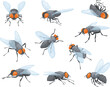 Houseflies. House flies, domestic fly insects, housefly fly-in and fly-out or sit on wall, insect head with proboscis, tiny bug wings body pests isolated neat vector illustration