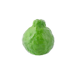 Poster - Bergamot  on  transparent png