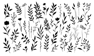 set of branch and leaves collection. floral hand drawn vintage set. sketch line art illustration. el