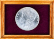 Single old United States silver morgan dollar coin in felt jewelry box