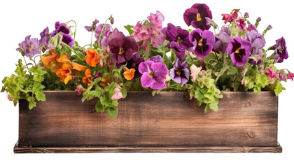 Wall Mural - flowers on wooden window box isolated on transparent background, generative ai