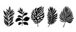 Beautiful palm tree leaf set silhouette background vector illustration 21