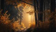 Autumn forest with cool sunlight in the morning with blurry background .Generate AI