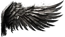 Illustration Black Wing Angle ,in White Background , Generate Ai