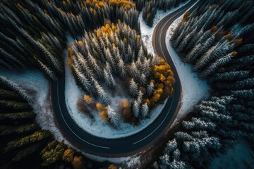 Wall Mural - winding road surrounded by lush trees seen from a bird's eye view. Generative AI