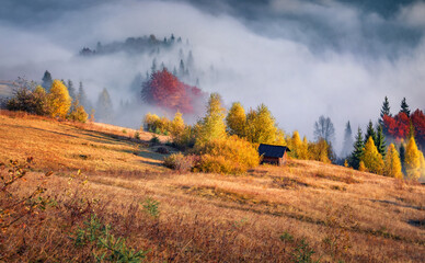 Poster - Foggy autumn view of abandoned mountain valley. Colorfull morning scene of Carpathian mountains, Ukraine, Europe. Beauty of countryside concept background..