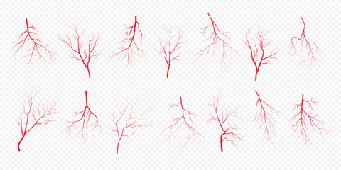 Wall Mural - Human eye blood veins vessels silhouettes vector illustration set isolated on transparent background. Eyeballs red veins anatomical collection of human blood vessel artery health system.