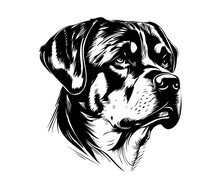 Rottweiler, Silhouettes Dog Face SVG, Black And White Rottweiler Vector