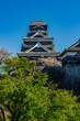 熊本城：復旧された天守閣と桜