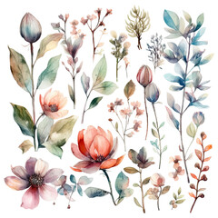 Wall Mural - Set of watercolor flowers leaves and twigs on a white background