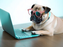 Cute Pug Dog With Glasses. Concept Of Pet Gamer, Programmer Or National Pet Day.