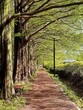 © Jk33/Wirestock Creators - Vertical shot of a narrow walkway in a park on a sunny day