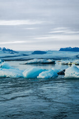 a frozen landscape in iceland