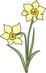 Wall Mural - One single line drawing of beauty fresh narcissus for garden logo. Printable decorative daffodil flower concept for wedding invitation card. Trendy continuous line draw design vector illustration