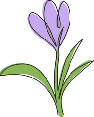 Wall Mural - One single line drawing of beauty fresh croci for garden logo. Printable decorative crocus flower concept for home decor wall art print poster. Trendy continuous line draw design vector illustration