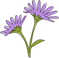 Wall Mural - Single continuous line drawing of beauty fresh perennial plant for home decor wall art poster. Printable decorative aster flower for wedding invitation card. One line draw design vector illustration