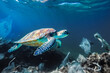 Wasserschildkröte zwischen Plastikmüll und einem toten Korallenriiff  with Generative KI