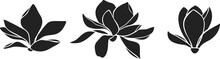 Magnolia Flowers. Set Of Magnolia Flower Black Silhouettes Isolated On A White Background. Vector Illustration