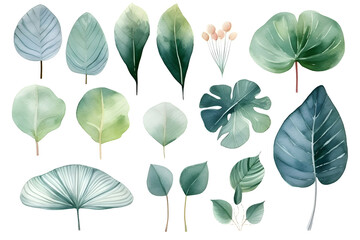 Wall Mural - Set of Watercolor Plants With Round Leaves: AI Generated Image