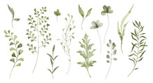 Green Grass, Herb And Plant Twigs Watercolor Set. Different Kind Field Grass, Wild Herb Element Collection. Hand Drawn Botanical Plant Parts On White Background.