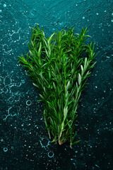 Wall Mural - Fresh green rosemary. Spices. On a black stone background.