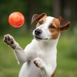 jack Russell terrier playing with a ball
created using generative artificial intelligence tools.