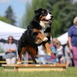 photo of Bernese mountain dog created using generative artificial intelligence tools.