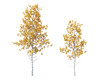 © Box - Populus tremuloides, quaking aspen, trembling aspen, American aspen, trembling poplar, white poplar, popple, golden aspen, mountain aspen, light for daylight, easy to use, 3d render, isolated