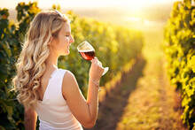 Young caucasian woman holding a glass of red wine in vineyard on sunny day, back view - Vinification, vine-growing and wine-tasting concept with a millennial young adult girl