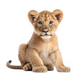 lion cub isolated on a transparent background, generative ai