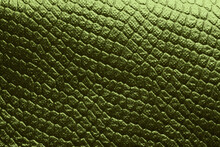 Gold Green Foil Paper. Abstract Reptile Skin Imitation Texture Background.