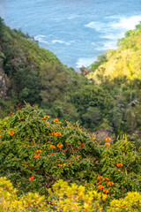 Wall Mural - Hawaii landscape 