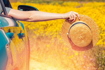 Feminine hand holding straw hat from the opened window of the car in the meadow of yellow flowers