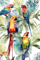 two parrots on the branch