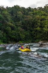 adventurous adults rafting on a raft in the middle of the jungle on the Pacuare River in Costa Rica