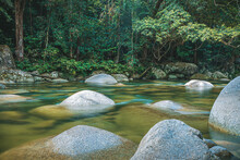 River In The Forest, Mossman Gorge, Queensland