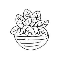 Sticker - Vector illustration of botany plant growth