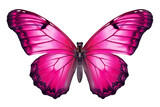 Fototapeta Motyle - Stunning Pink Butterfly in Full Body on Transparent Background - High-Quality PNG for Versatile Use, pink, butterfly, insect, nature, wildlife, full body, transparent background, png,